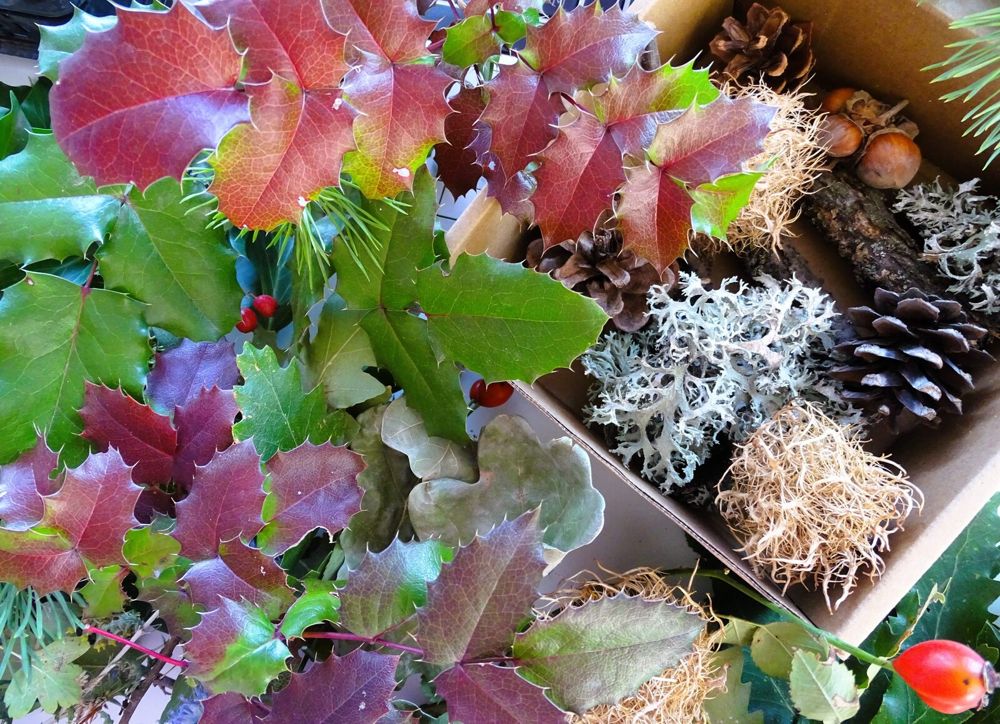A box of cones, moss and dried materials next to mahonia sprigs