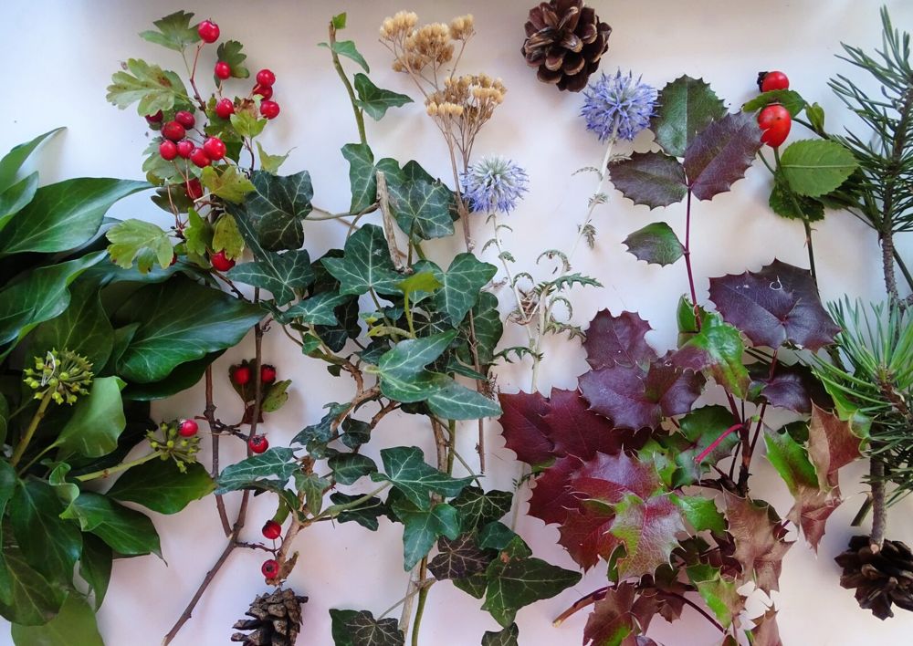 Sprigs of ivy, mahonia, rose hips, hawthorn, cones and dried flowers on a white table